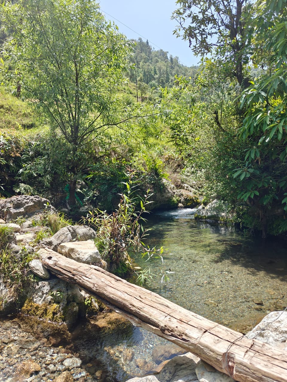 Riverside Hike